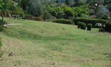 Guarne Antioquia Vereda El Sango VENTA