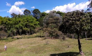 Guarne Antioquia Vereda El Sango VENTA