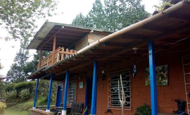 Guarne Antioquia Vereda El Sango VENTA