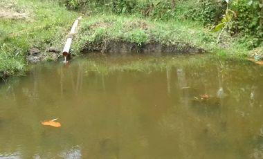 Guarne Antioquia Vereda El Sango VENTA