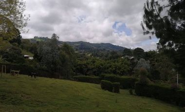 Guarne Antioquia Vereda El Sango VENTA