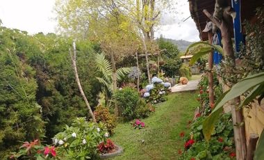 Guarne Antioquia Vereda El Sango VENTA