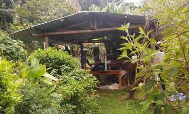 Guarne Antioquia Vereda El Sango VENTA