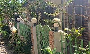 HOUSE AND LOT FOR SALE IN DUMAGUETE ID 14898