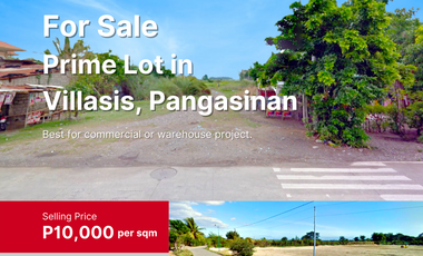 Prime Lot in Villasis, Pangasinan (Negotiable)