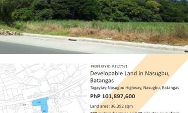 Developable Lot for Sale in Nasugbu, Batangas