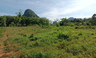 11 rai with panorama mountain view close to Clear water canal for sale in Nongthale, krabi
