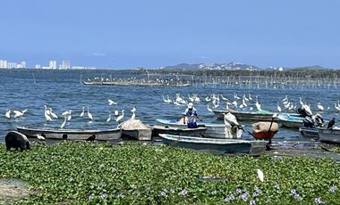 Casa de la laguna jardín y alberca en Acapulco (tres palos)