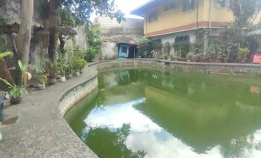 For Sale: House and Lot with Non-operational Resort within Susano Rd., Caloocan