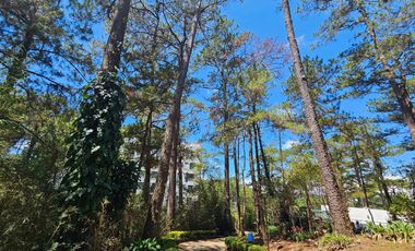 Prime Lot for sale near Wright Park, Baguio Country Club Baguio City