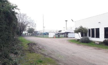 Vendo Local Comercial Talca V 970-850-GR-7.19