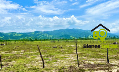 Lotes EN LA PLAYA en venta