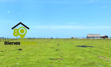 Lotes EN LA PLAYA en venta