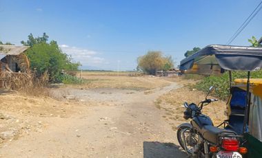 Lot For Sale in Villasis, Pangasinan