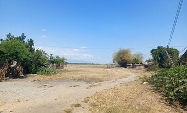 Lot For Sale in Villasis, Pangasinan