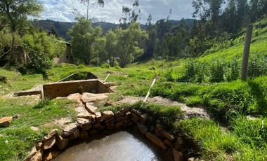 Venta de terreno de 4,000 m2 con agua termales en CARHUAZ