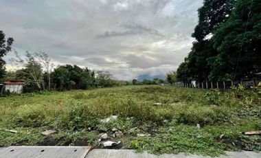 For Sale: 4,382 SQM Commercial Lot in Sariaya, Quezon