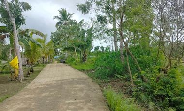 Bohol lot for sale ideal for residential and boarding house near college school in Sagbayan Bohol