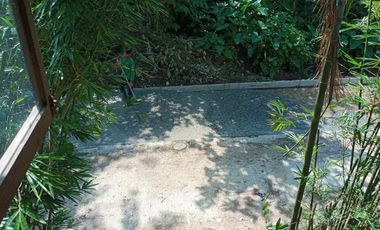10.1Hectares Agricultural Lot for Sale in Alaminos, Laguna