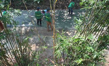 10.1Hectares Agricultural Lot for Sale in Alaminos, Laguna