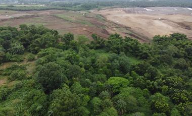 10.1Hectares Agricultural Lot for Sale in Alaminos, Laguna
