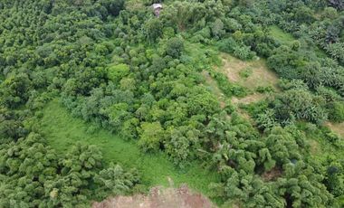 10.1Hectares Agricultural Lot for Sale in Alaminos, Laguna