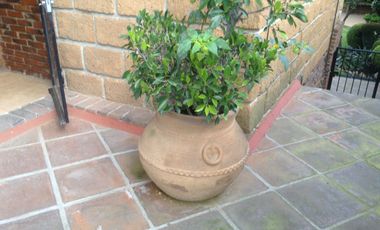 Rento Casa en Valle Dorado, Loma de Vallescondido, Atizapan de Zaragoza Edo. de Mexico