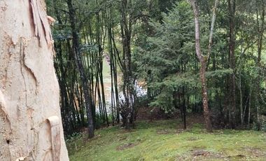 FINCA EN RIONEGRO