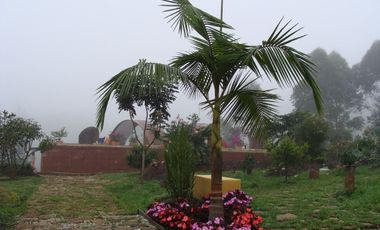 FINCA EN RIONEGRO