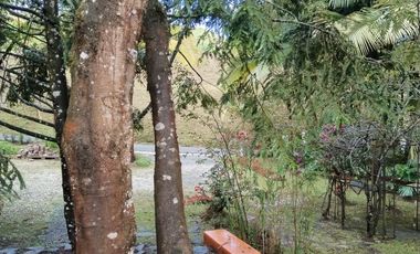 FINCA EN RIONEGRO