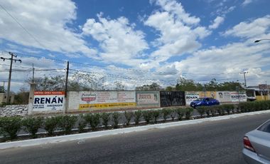 TERRENO TOTALMENTE BARDEADO A LA ENTRADA DE IZAMAL