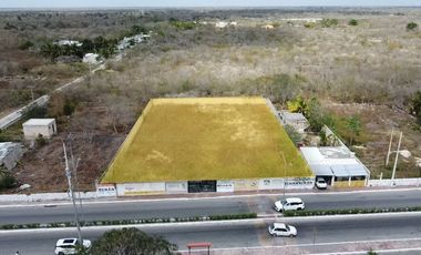 TERRENO TOTALMENTE BARDEADO A LA ENTRADA DE IZAMAL