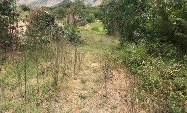 En venta tres hectáreas en Guayllabamba. Quito.