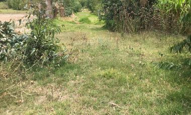 En venta tres hectáreas en Guayllabamba. Quito.