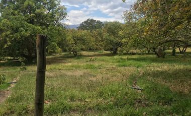 En venta tres hectáreas en Guayllabamba. Quito.