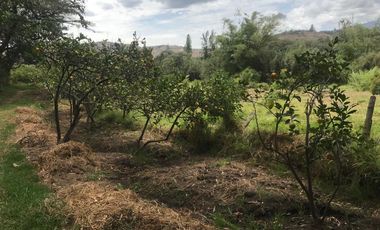 En venta tres hectáreas en Guayllabamba. Quito.