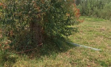 En venta tres hectáreas en Guayllabamba. Quito.