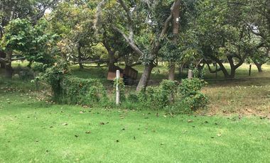 En venta tres hectáreas en Guayllabamba. Quito.