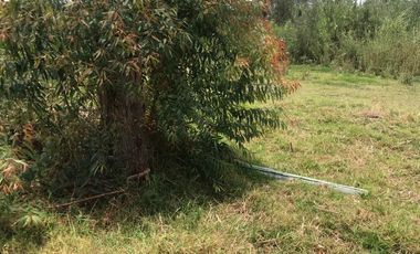 En venta tres hectáreas en Guayllabamba. Quito.