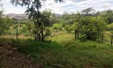 En venta tres hectáreas en Guayllabamba. Quito.