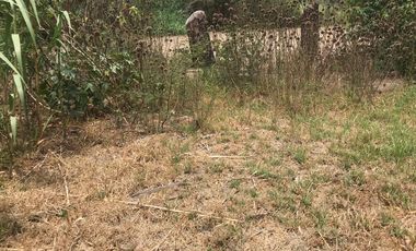 En venta tres hectáreas en Guayllabamba. Quito.