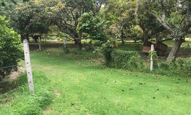 En venta tres hectáreas en Guayllabamba. Quito.