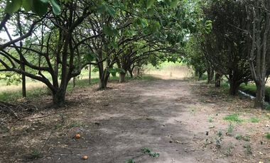 En venta tres hectáreas en Guayllabamba. Quito.