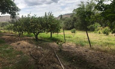 En venta tres hectáreas en Guayllabamba. Quito.