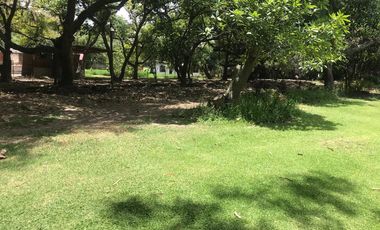 En venta tres hectáreas en Guayllabamba. Quito.