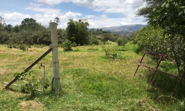 En venta tres hectáreas en Guayllabamba. Quito.