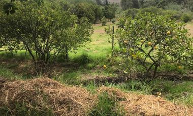 En venta tres hectáreas en Guayllabamba. Quito.