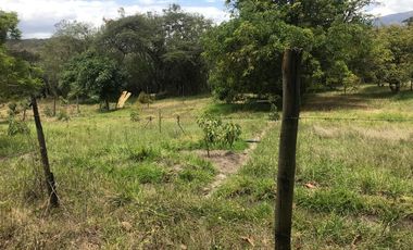 En venta tres hectáreas en Guayllabamba. Quito.