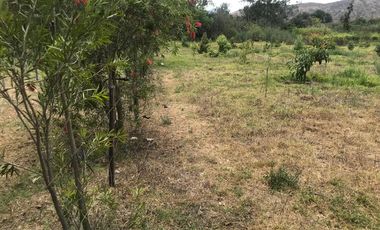 En venta tres hectáreas en Guayllabamba. Quito.