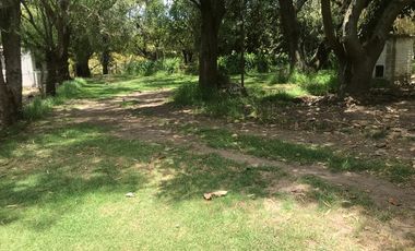 En venta tres hectáreas en Guayllabamba. Quito.